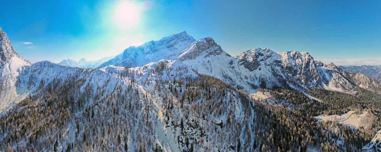 Готель Erjavceva Mountain Hut At Vrsic Pass Кранська Гора Екстер'єр фото